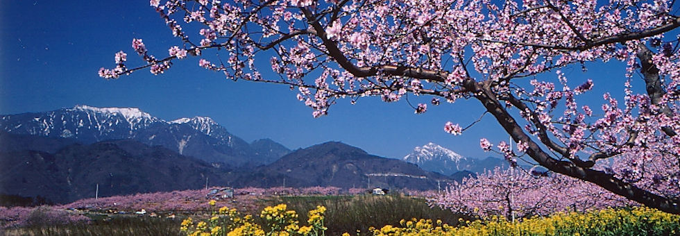 色とりどりの風景